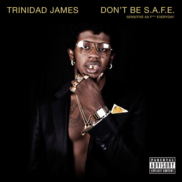 Don't Be S.A.F.E. cover